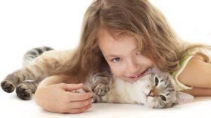 146 Алергія на кішок: що робити?