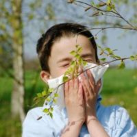 192 Список популярних алергенів
