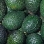 880 Масло авокадо: косметичні властивості