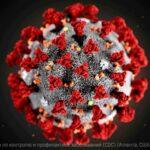 3307 Мутация коронавируса могла ускорить эпидемию