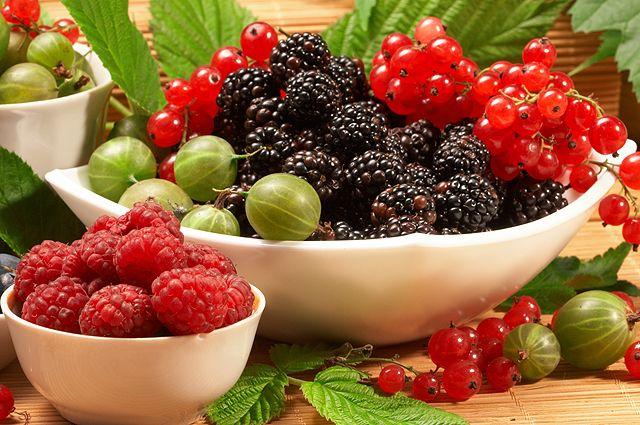 3787 Ежевика: названы полезные и вредные свойства сезонной ягоды