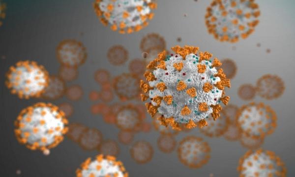 3890 Ученые впервые обнаружили живые коронавирусы в воздухе