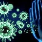 4145 Антитела к коронавирусу снижаются всего через месяц, показало новое исследование