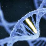 4173 Исследователи узнали, какие гены приводят к циррозу печени