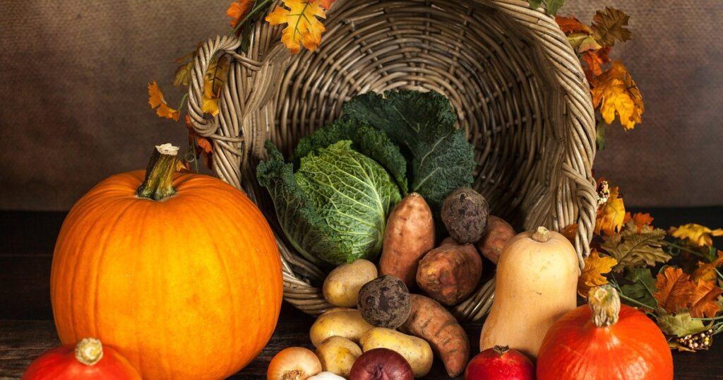 4094 Топ-7 овощей, которые обязательны на столе осенью