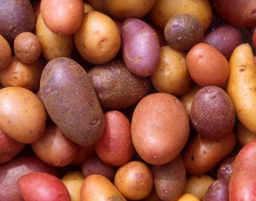 4361 Как сохранить витамины при варке картофеля - советы экспертов