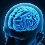 4331 Неврологи нашли неожиданный способ омоложения мозга