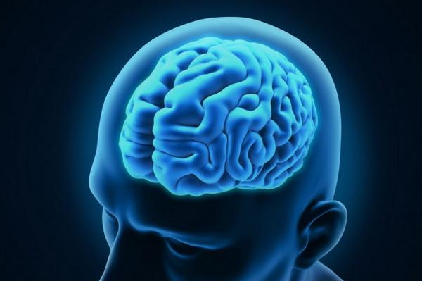 4331 Неврологи нашли неожиданный способ омоложения мозга