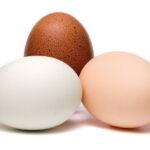 4720 У любителей яиц может развиться диабет