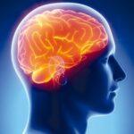 4973 Найдено объяснение повреждению мозга при коронавирусе - медики