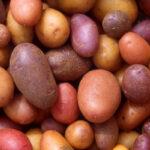 4992 Топ-6 фактов о пользе картофеля