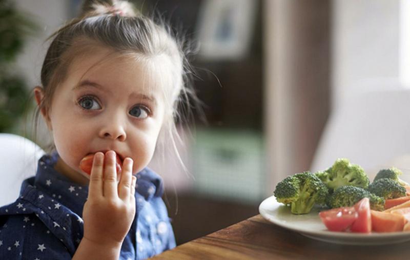 5240 Ученые выяснили, как веганская диета влияет на метаболизм у детей