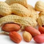 5157 Вареный арахис - спасение от смертельно опасной аллергии
