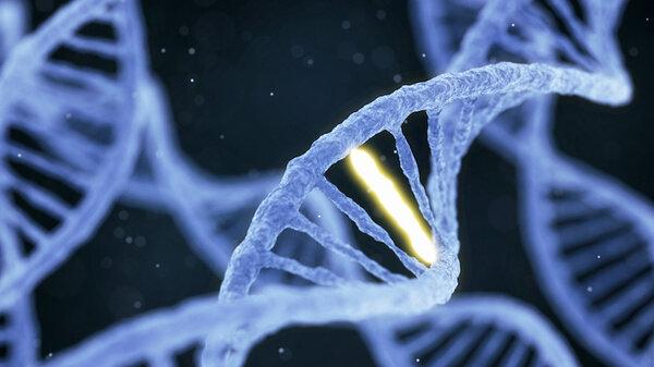 5448 Исследователи обнаружили неоднозначную мутацию в геноме некоторых людей