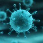 5445 Медики раскрыли влияние температуры на передачу коронавируса
