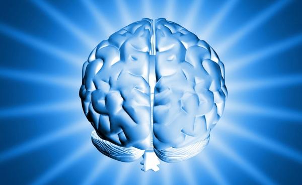 5547 Неврологи нашли новое средство для поддержания мозга