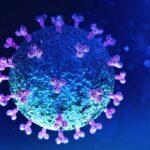 5861 Ученые анализируют данные о смертности во время пандемии коронавируса