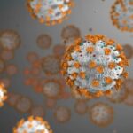 6165 Исследователи предполагают, что в начале пандемии было две вспышки заражений слегка отличающимися вирусами