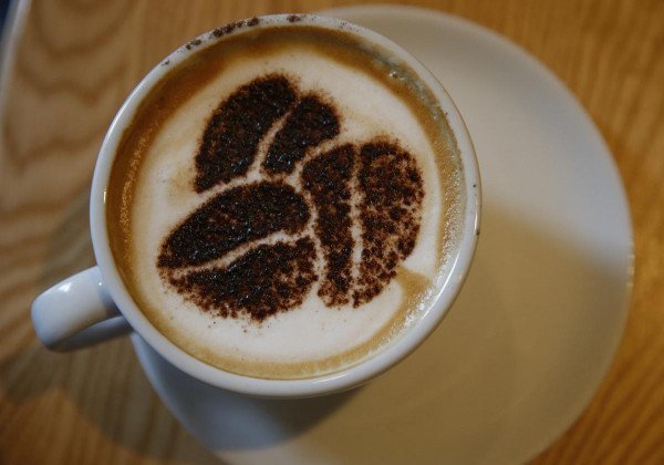 6530 Диетологи рассказали о пользе кофе для похудения: сколько чашек нужно пить
