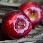 6569 Ученые выяснили, как одно яблоко в день влияет на здоровье
