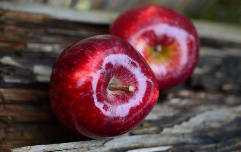 6569 Ученые выяснили, как одно яблоко в день влияет на здоровье